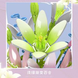 MouldKing 10057 Mould King 10057 non  THẾ GIỚI HOA LILY ĐẦY MÀU SẮC bộ đồ chơi xếp lắp ráp ghép mô hình  FLOWER WORLD Kỹ Thuật Công Nghệ Cao Mô Hình Phương Tiện 1006 khối