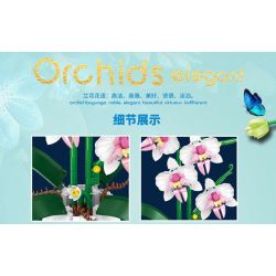 WELEMAGINATION 2138 non  LAN TẤN QUÝ PHU bộ đồ chơi xếp lắp ráp ghép mô hình Flowers ORCHIDS ELEGANT Hoa 616 khối