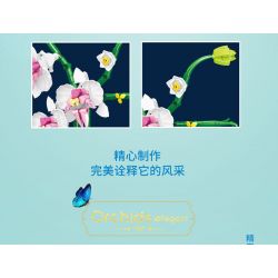 WELEMAGINATION 2138 non  LAN TẤN QUÝ PHU bộ đồ chơi xếp lắp ráp ghép mô hình Flowers ORCHIDS ELEGANT Hoa 616 khối