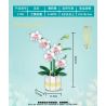 WELEMAGINATION 2138 non  LAN TẤN QUÝ PHU bộ đồ chơi xếp lắp ráp ghép mô hình Flowers ORCHIDS ELEGANT Hoa 616 khối
