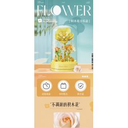 TOP TOY TC1114 1114 non  HỘP NHẠC HOA CHỮA BỆNH LẠ MẮT bộ đồ chơi xếp lắp ráp ghép mô hình Flowers FLOWER HEAL