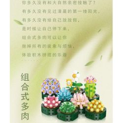 WELEMAGINATION 2114 non  HỘP TRƯNG BÀY CHẬU CÂY MỌNG NƯỚC KẾT HỢP TÁM TRONG MỘT bộ đồ chơi xếp lắp ráp ghép mô hình Flowers POTTED GARDEN Hoa 1257 khối