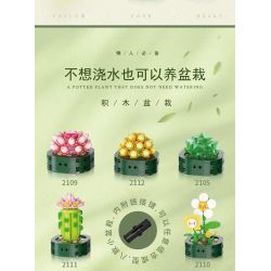 WELEMAGINATION 2114 non  HỘP TRƯNG BÀY CHẬU CÂY MỌNG NƯỚC KẾT HỢP TÁM TRONG MỘT bộ đồ chơi xếp lắp ráp ghép mô hình Flowers POTTED GARDEN Hoa 1257 khối