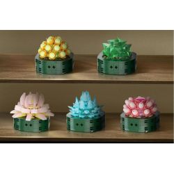 WELEMAGINATION 2114 non  HỘP TRƯNG BÀY CHẬU CÂY MỌNG NƯỚC KẾT HỢP TÁM TRONG MỘT bộ đồ chơi xếp lắp ráp ghép mô hình Flowers POTTED GARDEN Hoa 1257 khối