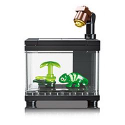 JIESTAR 59216 non  MÔ HÌNH THU NHỎ HỘP XEM THẰN LẰN bộ đồ chơi xếp lắp ráp ghép mô hình LIZARD 34 khối