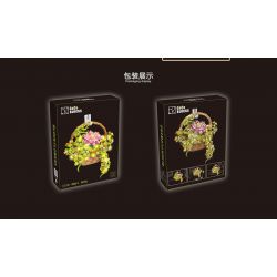 CACO D006-2 006-2 non  CHẬU HOA bộ đồ chơi xếp lắp ráp ghép mô hình Flowers 691 khối