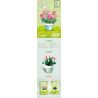 SEMBO 611060 non  CHẬU CÂY DỄ THƯƠNG CỐC HOA HỒNG bộ đồ chơi xếp lắp ráp ghép mô hình Flowers 67 khối