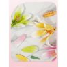 JAKI JK26103 26103 non  TẠP CHÍ THỰC VẬT HOA HUỆ NEON bộ đồ chơi xếp lắp ráp ghép mô hình Flowers PLANTE DOUBLE RAINBOW