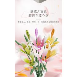 JAKI JK26103 26103 non  TẠP CHÍ THỰC VẬT HOA HUỆ NEON bộ đồ chơi xếp lắp ráp ghép mô hình Flowers PLANTE DOUBLE RAINBOW