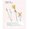 JAKI JK26103 26103 non  TẠP CHÍ THỰC VẬT HOA HUỆ NEON bộ đồ chơi xếp lắp ráp ghép mô hình Flowers PLANTE DOUBLE RAINBOW
