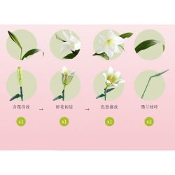 JAKI JK26103 26103 non  TẠP CHÍ THỰC VẬT HOA HUỆ NEON bộ đồ chơi xếp lắp ráp ghép mô hình Flowers PLANTE DOUBLE RAINBOW