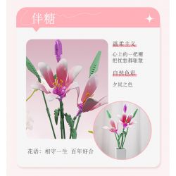 JAKI JK26102 26102 non  NHẬT KÝ THỰC VẬT HOA HUỆ VỚI ĐƯỜNG bộ đồ chơi xếp lắp ráp ghép mô hình Flowers PLANTE SWEETENER IN LIFE