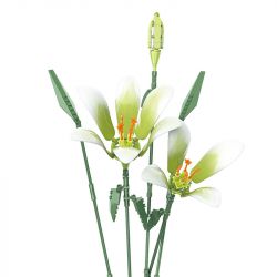 JAKI JK26101 26101 non  NHẬT KÝ THỰC VẬT LILY LIGHT SPRING bộ đồ chơi xếp lắp ráp ghép mô hình Flowers PLANTE EARLY SPRING Hoa