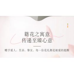 JAKI JK26101 26101 non  NHẬT KÝ THỰC VẬT LILY LIGHT SPRING bộ đồ chơi xếp lắp ráp ghép mô hình Flowers PLANTE EARLY SPRING Hoa