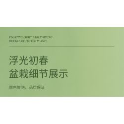 ZUANMA 103B non  HOA TRỒNG TRONG CHẬU 8 KIỂU QUÀ TẶNG BẠN MÙA XUÂN bộ đồ chơi xếp lắp ráp ghép mô hình Flowers