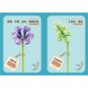ZUANMA 087A non  BÓ 8 CỐC 1 bộ đồ chơi xếp lắp ráp ghép mô hình Flowers Hoa 679 khối
