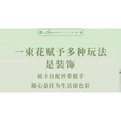 WEKKI 517202 non  HUAYU CHO BẠN ÁNH NẮNG bộ đồ chơi xếp lắp ráp ghép mô hình Flowers FLOWERS FOR YOU Hoa