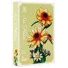 QIZHILE 92039 non  HOA HƯỚNG DƯƠNG bộ đồ chơi xếp lắp ráp ghép mô hình Flowers SUN FLOWER