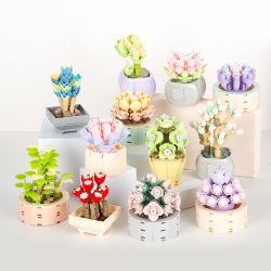 JAKI JK2710 2710 non  CÂY MỌNG NƯỚC TRONG CHẬU 12 LOẠI CÂU CHUYỆN MAY MẮN ÁNH SAO THẠCH MÙA HÈ NĂM THÁNG SƯƠNG CÔ GÁI NGUYỆN XOÀI NGỌC BÍCH DẠ KHÚC MƯA QUYẾN RŨ HOÀNG HÔN DÒNG SÔNG NGƯỜI DU HÀNH THỜI GIAN YANSHA XINYU THIÊN THẦN MƠ SAY RƯỢU bộ đồ chơi xếp lắp ráp ghép mô hình Flowers Hoa