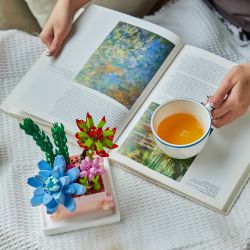 PANTASY 15100 non  VƯỜN MỌNG NƯỚC bộ đồ chơi xếp lắp ráp ghép mô hình Flowers SUCCULENT GARDEN SOMETHING BLUE Hoa