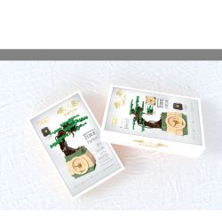 HENGTAI 92032D non  TRONG CHẬU bộ đồ chơi xếp lắp ráp ghép mô hình TIMESPRITE TIME POTTED 217 khối