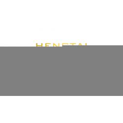 HENGTAI 92032A non  HOA HỒNG TRONG CHẬU. bộ đồ chơi xếp lắp ráp ghép mô hình TIMESPRITE TIME POTTED 227 khối