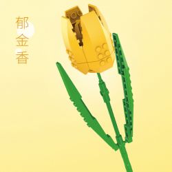 JAKI JK2681 2681 JK2620 2620 JK2621 2621 JK2622 2622 JK2623 2623 JK2625 2625 JK2626 2626 JK2627 2627 JK2628 2628 JK2631 2631 non  NHẬT KÝ THỰC VẬT 9 LOẠI HOA TULIP HƠI THỞ CỦA EM BÉ HỒNG NHÀI HUỆ TÂY LƯU LY CẨM CHƯỚNG BÔNG GẠO bộ đồ chơi xếp lắp ráp ghép mô hình Flowers PLANTE