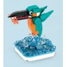 WANGE LIGAO DR.LUCK 1605 non  QUÁI THÚ TUYỆT VỜI CHIM BÓI CÁ bộ đồ chơi xếp lắp ráp ghép mô hình WONDERFUL ANIMALS KINGFISHER 144 khối