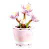 GEKKOSHA 804206 non  TÚ DIÊN bộ đồ chơi xếp lắp ráp ghép mô hình Flowers Hoa 225 khối