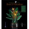 NOT  BIRD OF PARADISE 10289 10298 T5008 5008 xếp lắp ráp ghép mô hình CHIM THIÊN ĐƯỜNG Icons 1173 khối