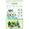 JIESTAR 92314 non  BONSAI 6 LOẠI THÀNH PHỐ KHÔNG ĐÊM QUÁN THẾ ÂM SEN ĐỎ NON HOA LÁ ???NG TRĂNG LUPIN LỤC BÌNH bộ đồ chơi xếp lắp ráp ghép mô hình Flowers