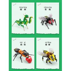 Kazi KY80040 80040 MINGDI LEIBAO K0375 0375 non  HỌ CÔN TRÙNG 8 MẪU BỌ NGỰA RUỒI KIẾN ONG CHUỒN ĐOM ĐÓM RÙA ỐC SÊN bộ đồ chơi xếp lắp ráp ghép mô hình Creator INSECT Sáng Tạo 692 khối
