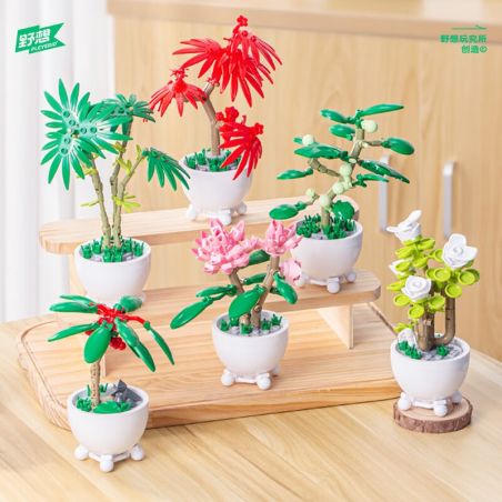 PLEYERID M38-B1075 B1075 1075 M38B1075 38-B1075 non  6 LOẠI BONSAI TAO NHÃ bộ đồ chơi xếp lắp ráp ghép mô hình