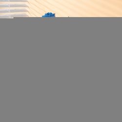 PLEYERID M38-B1101 B1101 1101 M38B1101 38-B1101 non  DÒNG HOA TRÁI TIM bộ đồ chơi xếp lắp ráp ghép mô hình Flowers