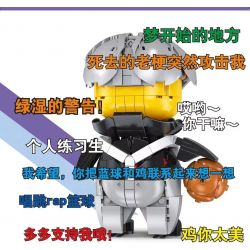 THULE L8002 8002 non  THỰC TẬP SINH CÁ NHÂN BẠN THẬT XINH ĐẸP bộ đồ chơi xếp lắp ráp ghép mô hình 625 khối