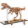LOZ 9023 Xếp hình kiểu Nanoblock JURASSIC WORLD DINOSAURS Tyrannosaurus Rex Dinosaur Skeleton Bộ Xương Khủng Long Tyrannosaurus Rex 880 khối