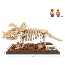 LOZ 9025 Xếp hình kiểu Nanoblock JURASSIC WORLD DINOSAURS Triceratops Fossil Dinosaur Skeletons Bộ Xương Khủng Long Hóa Thạch Triceratops 660 khối