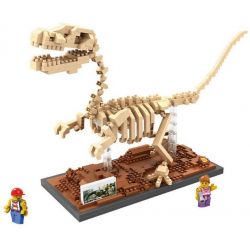 LOZ 9026 Xếp hình kiểu Nanoblock JURASSIC WORLD DINOSAURS Velociraptor Fossil Dinosaur Skeletons Bộ Xương Khủng Long Hóa Thạch Velociraptor 660 khối