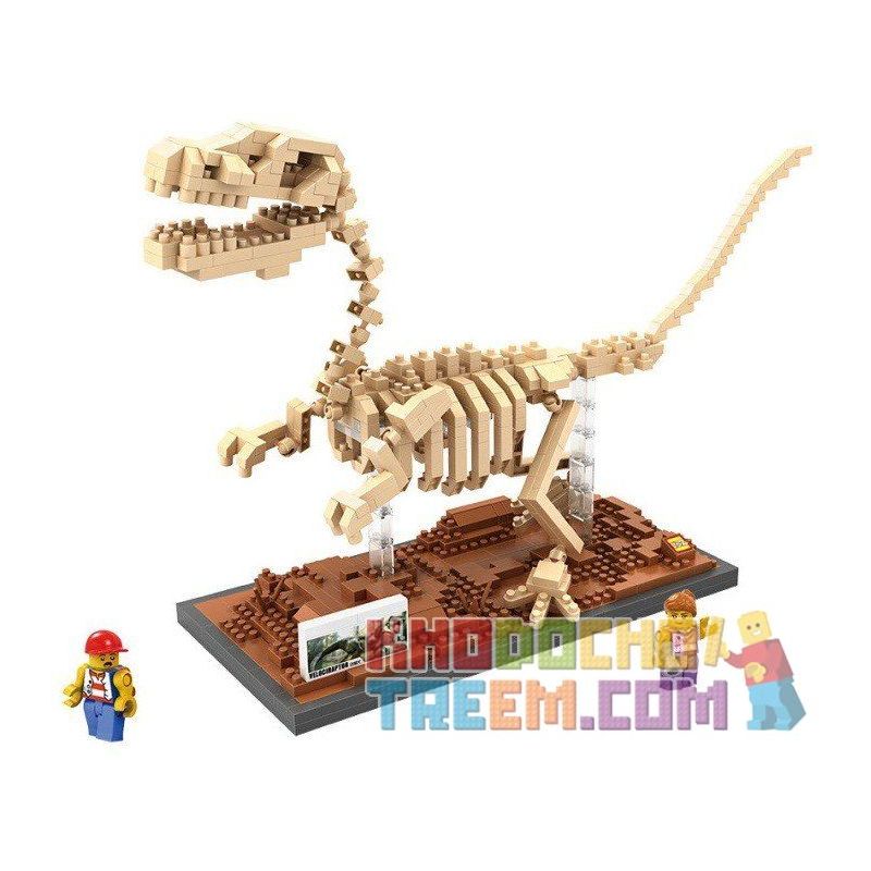 LOZ 9026 Xếp hình kiểu Nanoblock JURASSIC WORLD DINOSAURS Velociraptor Fossil Dinosaur Skeletons Bộ Xương Khủng Long Hóa Thạch Velociraptor 660 khối
