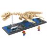 LOZ 9027 Xếp hình kiểu Nanoblock JURASSIC WORLD DINOSAURS Plesiosaurus Fossil Dinosaur Skeletons Bộ Xương Khủng Long Hóa Thạch Plesiosaurus 660 khối
