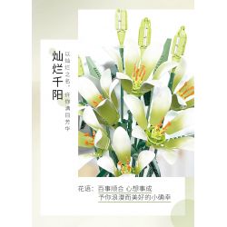 JAKI JK2695 2695 non  MỘT NGÀN MẶT TRỜI LỘNG LẪY bộ đồ chơi xếp lắp ráp ghép mô hình