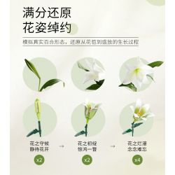 JAKI JK2695 2695 non  MỘT NGÀN MẶT TRỜI LỘNG LẪY bộ đồ chơi xếp lắp ráp ghép mô hình