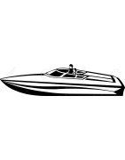 Du thuyền cao tốc - tàu thủy cao tốc điều khiển từ xa